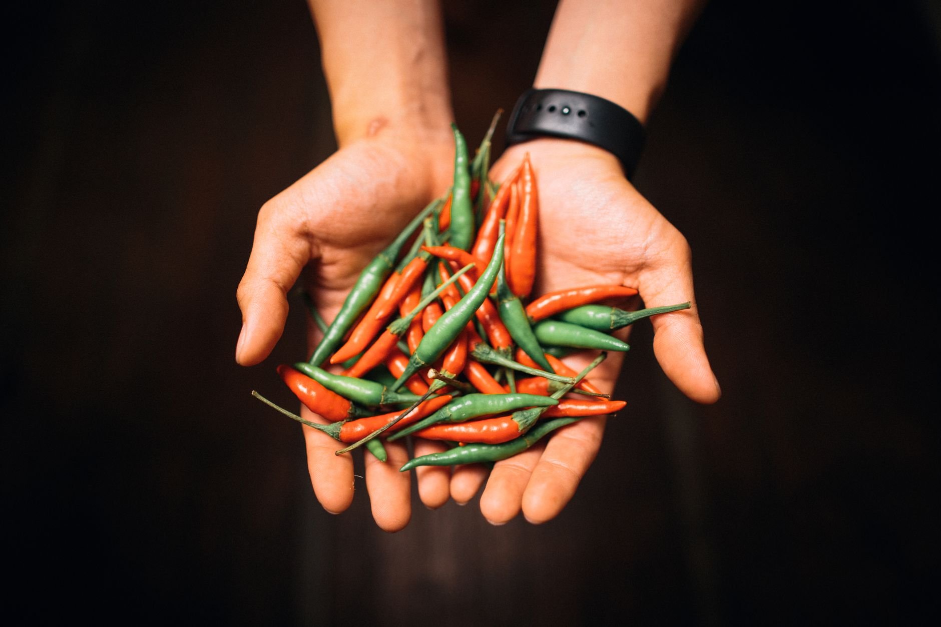 A close-up of hands holding vibrant red and green chili peppers, showcasing freshness.